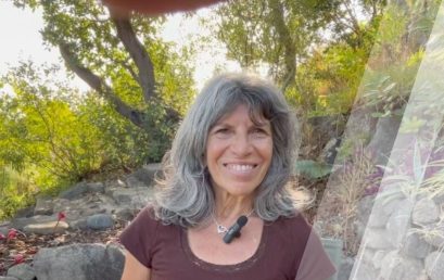 Nepal: Following the Call of the Dharma